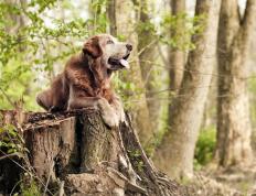 开云体育登录-欧冠决赛焦点战的启示，灰熊硬仗取胜掘金的篮球哲学