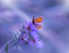 开云体育平台APP-萨卡高能魔法摧毁星月防线，卡塔尔三球完胜提前终结悬念