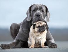 开云体育官方网站-绝境之巅的掌控者，加纳在抢七炼狱中稳稳摘下希腊神话的桂冠