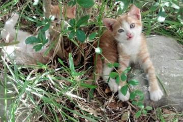 开云体育中国-萨卡的冠军级表演与瑞士一波流，个体英雄与团队胜利的交响曲