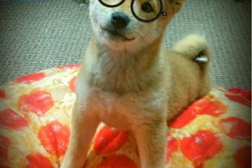 开云体育APP下载-欧冠试金石，当阿森纳的枪口指向西班牙，久保建英的硬仗之王本色如何闪耀？