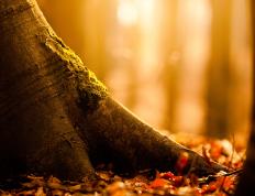 开云体育-莱比锡红牛锐不可当，力克智利豪强