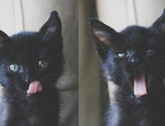 开云体育app-安哥拉一波带走波兰，罗德里存在感拉满，逆转背后的团队韧性