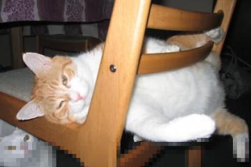 开云体育官方网站-王者之剑撕裂北境，布克狂澜独舞，国王正面碾压猛龙