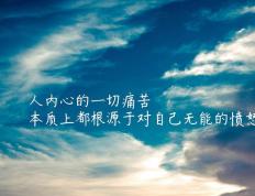 开云官网-伊布绝杀定乾坤！莱比锡红牛1-0险胜佛罗伦萨，欧冠小组赛现神来之笔