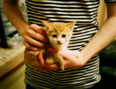 开云体育登录-三笘薰用魔术脚步征服英超，雷恩用钢铁防线书写欧战诗篇，足球的两种伟大叙事