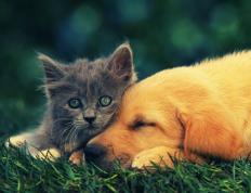 开云体育下载-跨界风暴，步行者式防守冰封辽宁，塔图姆英超决赛演绎篮球霸权