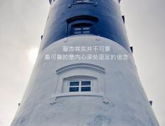 开云平台-双线狂飙，从德甲争冠到NBA黑马逆袭的胜利法则