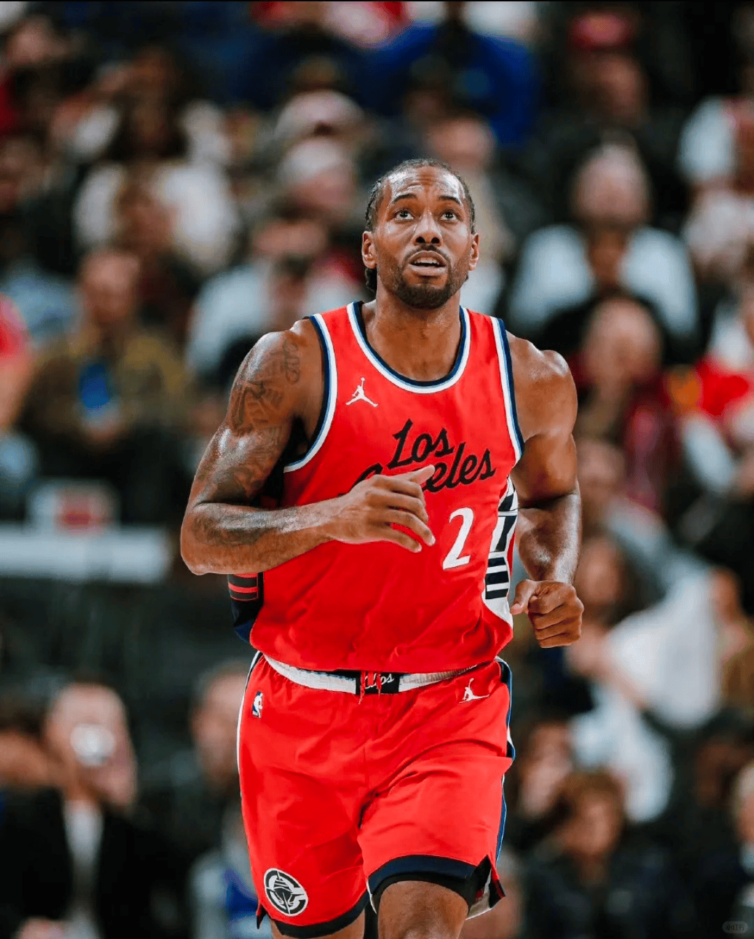 开云体育-伦纳德受伤，猛龙苦战击败篮网