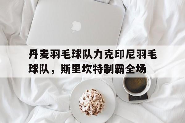 开云体育在线-丹麦羽毛球队力克印尼羽毛球队，斯里坎特制霸全场的简单介绍