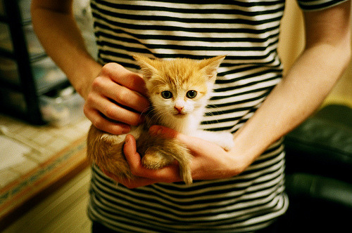 开云体育登录-三笘薰用魔术脚步征服英超,雷恩用钢铁防线书写欧战诗篇,足球的两种伟大叙事