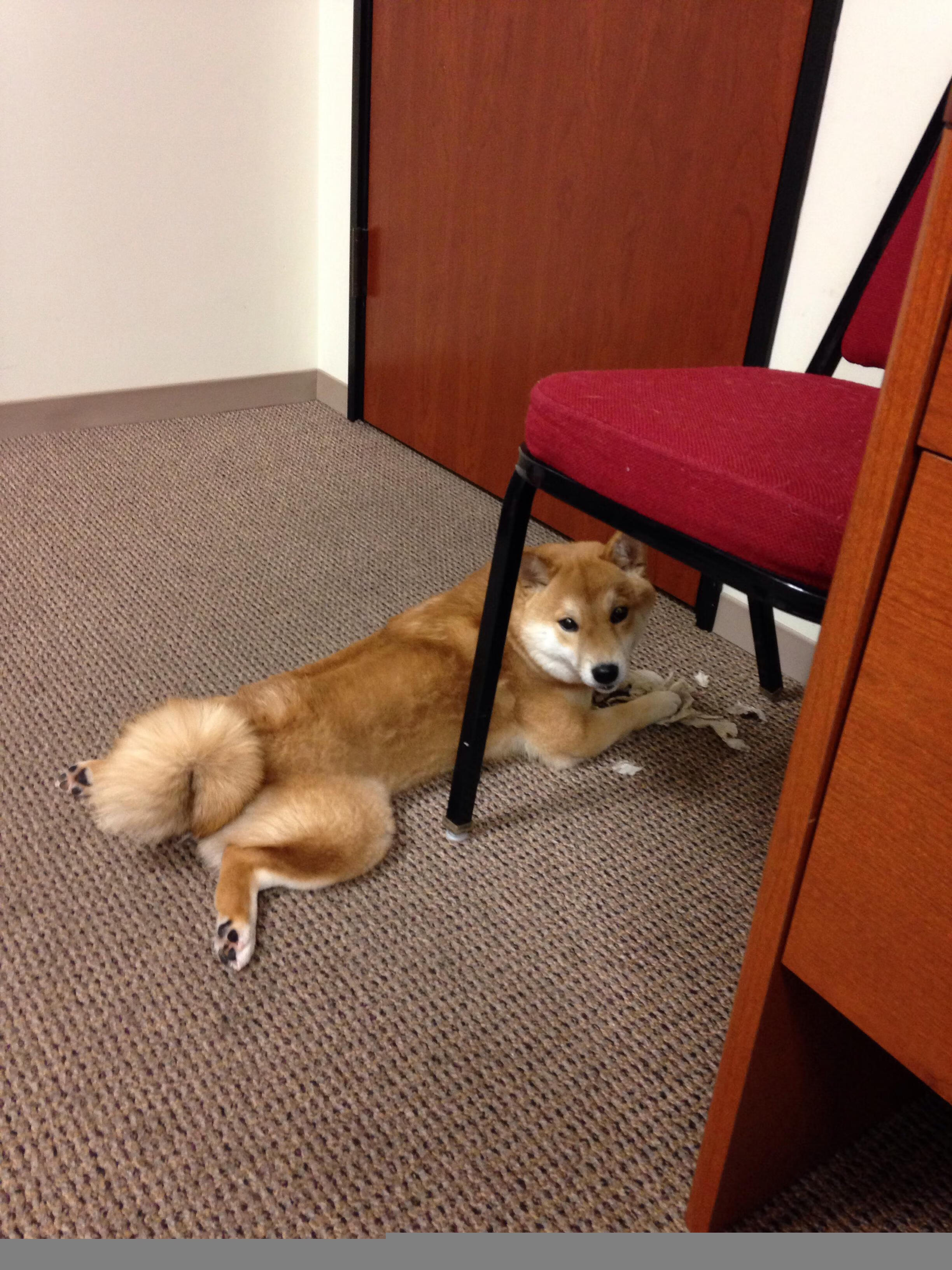 开云体育-米切尔轰45+12+10制霸全场 山西压哨绝杀荡气回肠