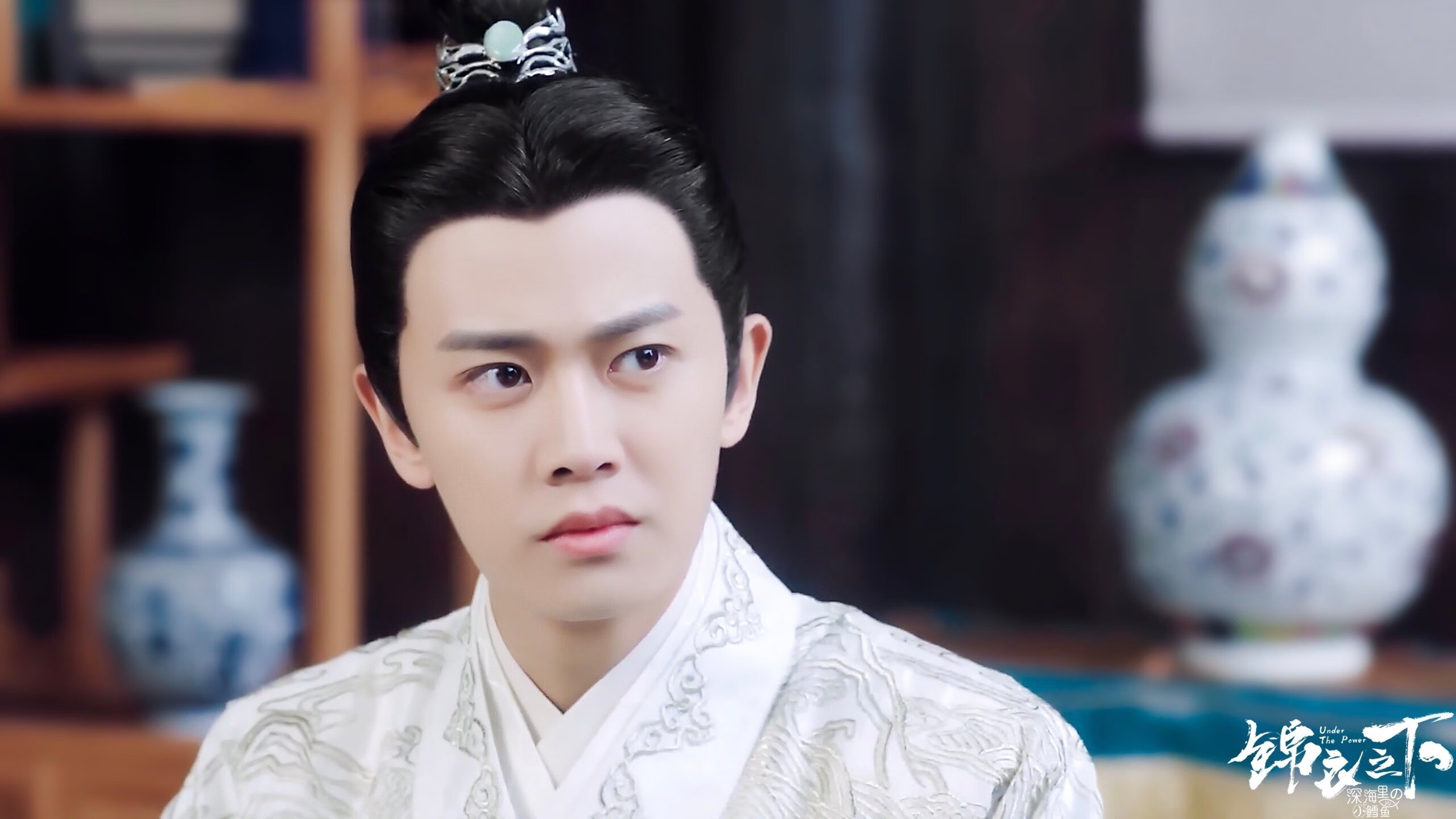 开云下载-里程碑之夜，约基奇率队轻取鹈鹕，国王主场见证传奇加冕