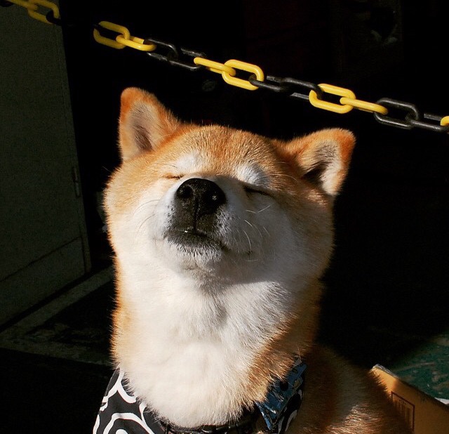 开云下载-德罗赞末节狂飙19分,步行者一波流逆转森林狼