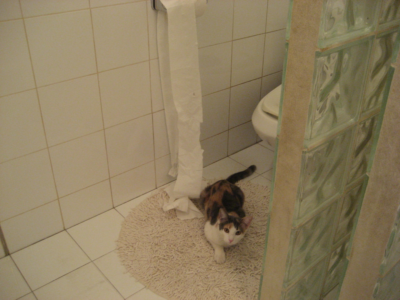 开云体育在线-当约基奇遇见广东宏远，跨越重洋的篮球哲学对话