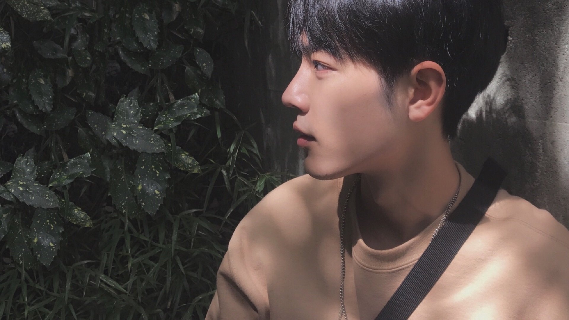 开云体育APP下载-节拍器的救赎，卡拉斯科在巴拉圭生死战中奏响的逆转狂想曲