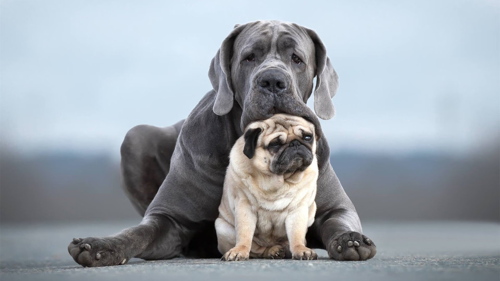 开云体育官方网站-绝境之巅的掌控者,加纳在抢七炼狱中稳稳摘下希腊神话的桂冠