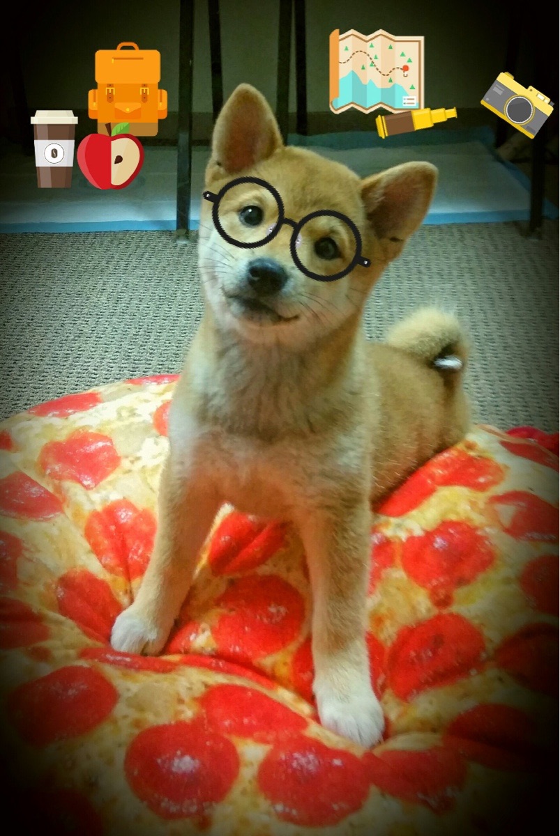 开云体育APP下载-欧冠试金石,当阿森纳的枪口指向西班牙,久保建英的硬仗之王本色如何闪耀?