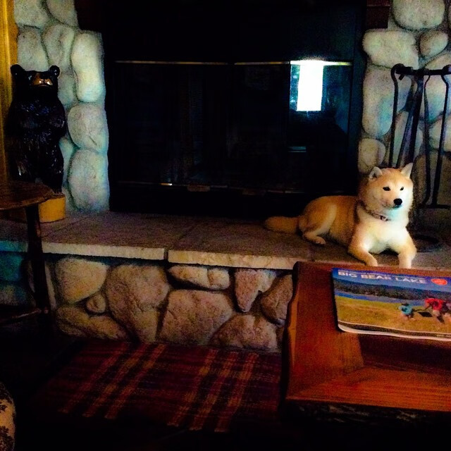 开云体育中国-篮球世界的新篇章,山西队轻取凯尔特人,切特季后赛接管比赛