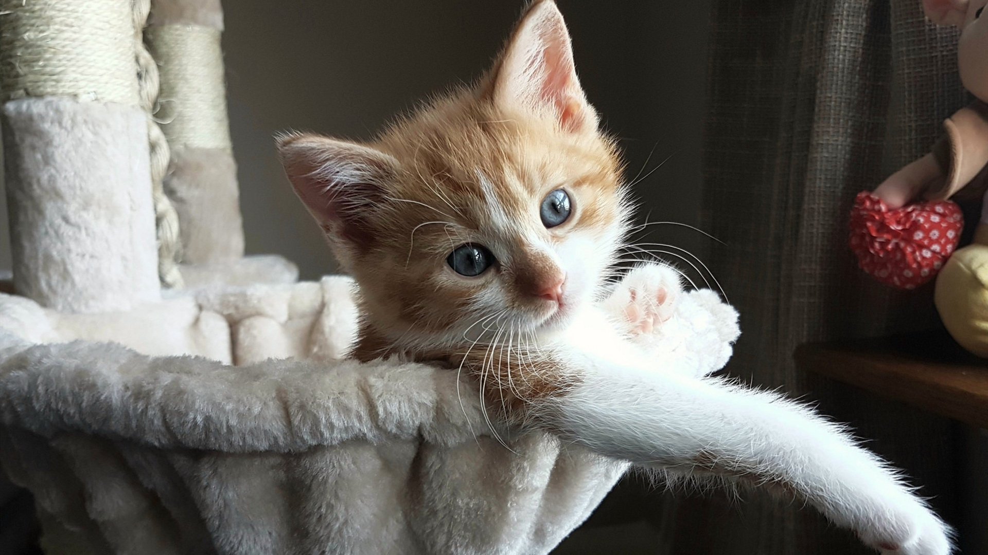 开云体育下载-险中求变，比利时新凯恩如何带动全队绝处逢生