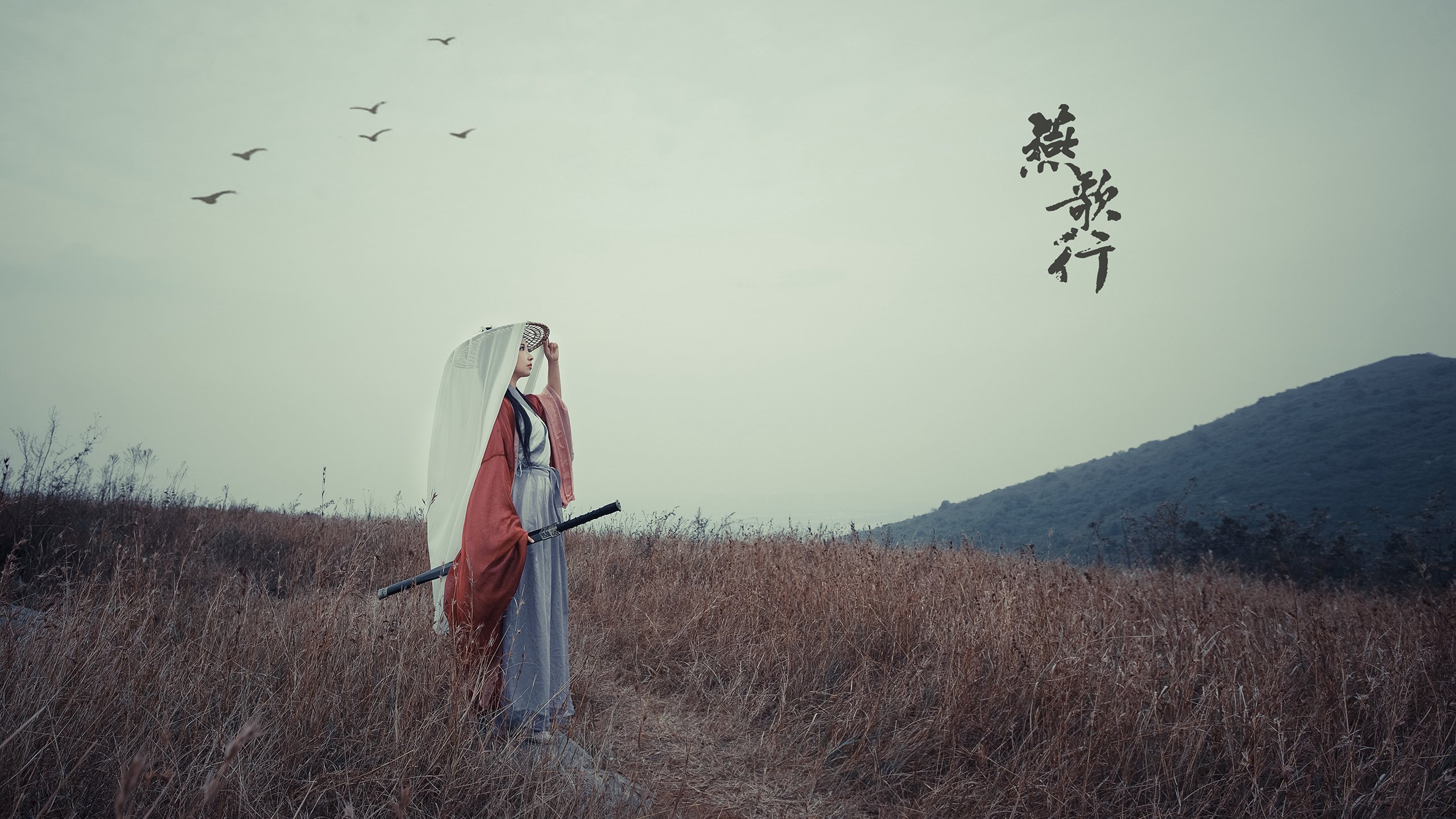 开云体育中国-当步行者踏平广东队，小贾伦赛后评分拉满，一场平行时空的篮球启示录