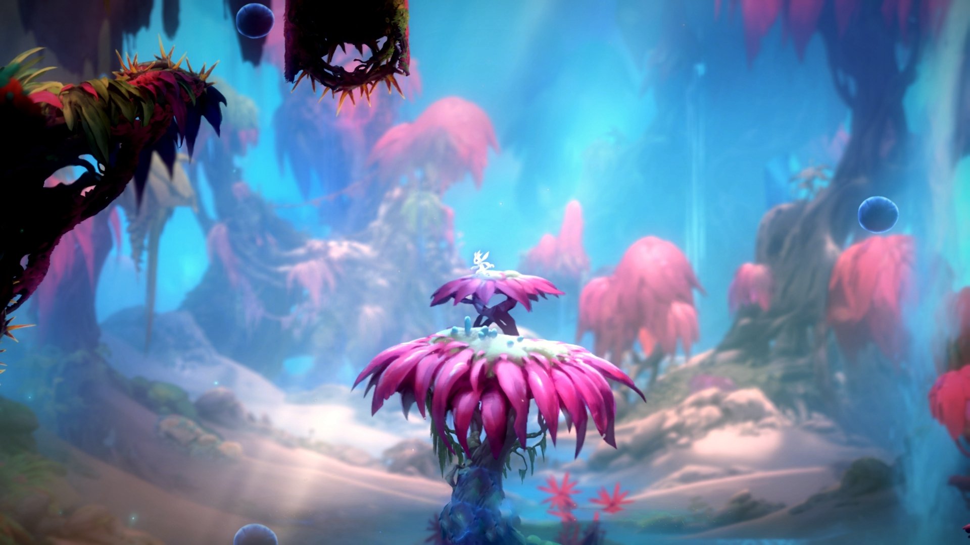 开云体育入口-奇才收割公牛,莫兰特关键战接管比赛,篮球世界的双重奏鸣