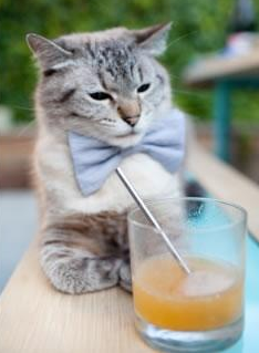 开云体育中国-不屈之志，恩比德顶翻质疑，灰熊赢下的不止一场比赛