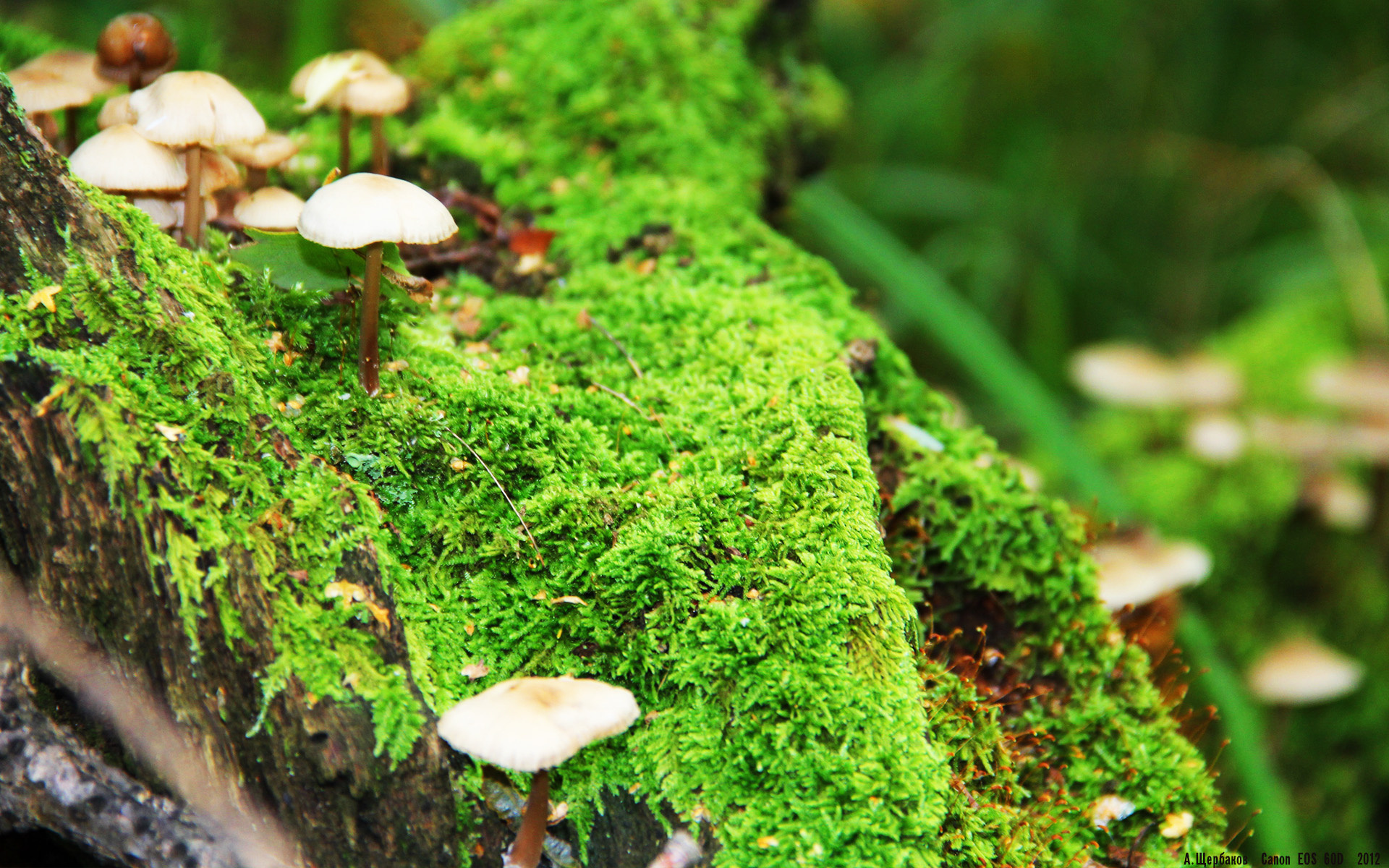 开云体育app-当末节收割遇见抢七接管，体育关键时刻的孤胆英雄