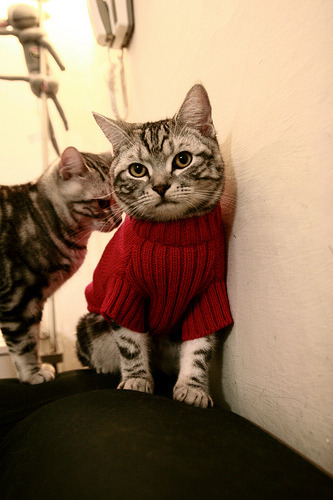 开云下载-当锋线巨星化身防守铁闸，莱万与勒沃库森的战术启示录