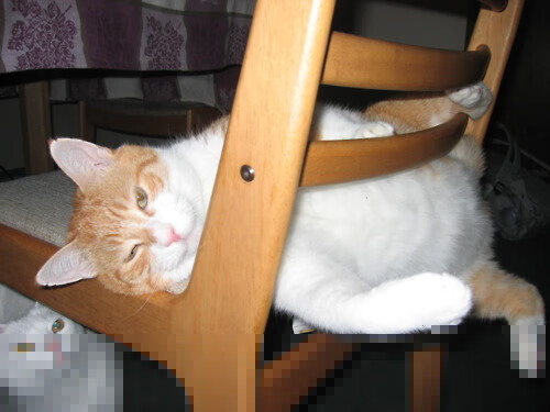 开云体育官方网站-王者之剑撕裂北境,布克狂澜独舞,国王正面碾压猛龙