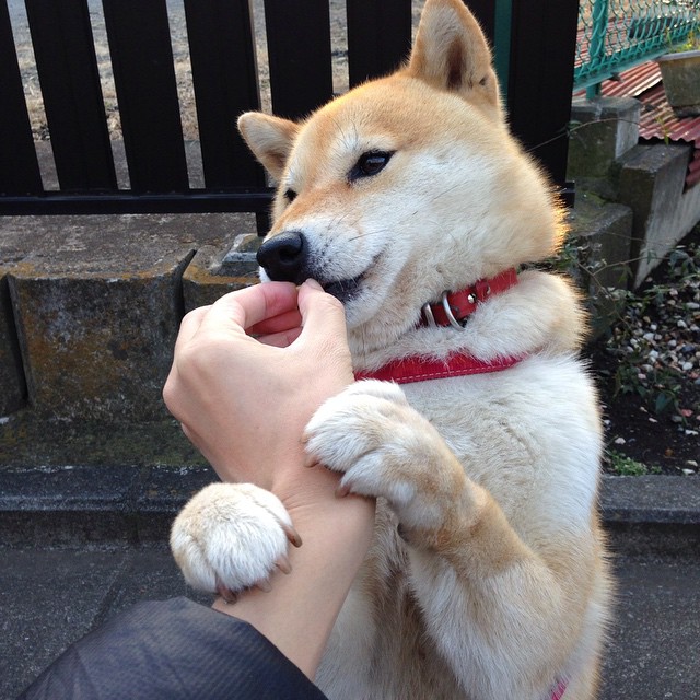 开云体育官方网站-王者之剑撕裂北境,布克狂澜独舞,国王正面碾压猛龙