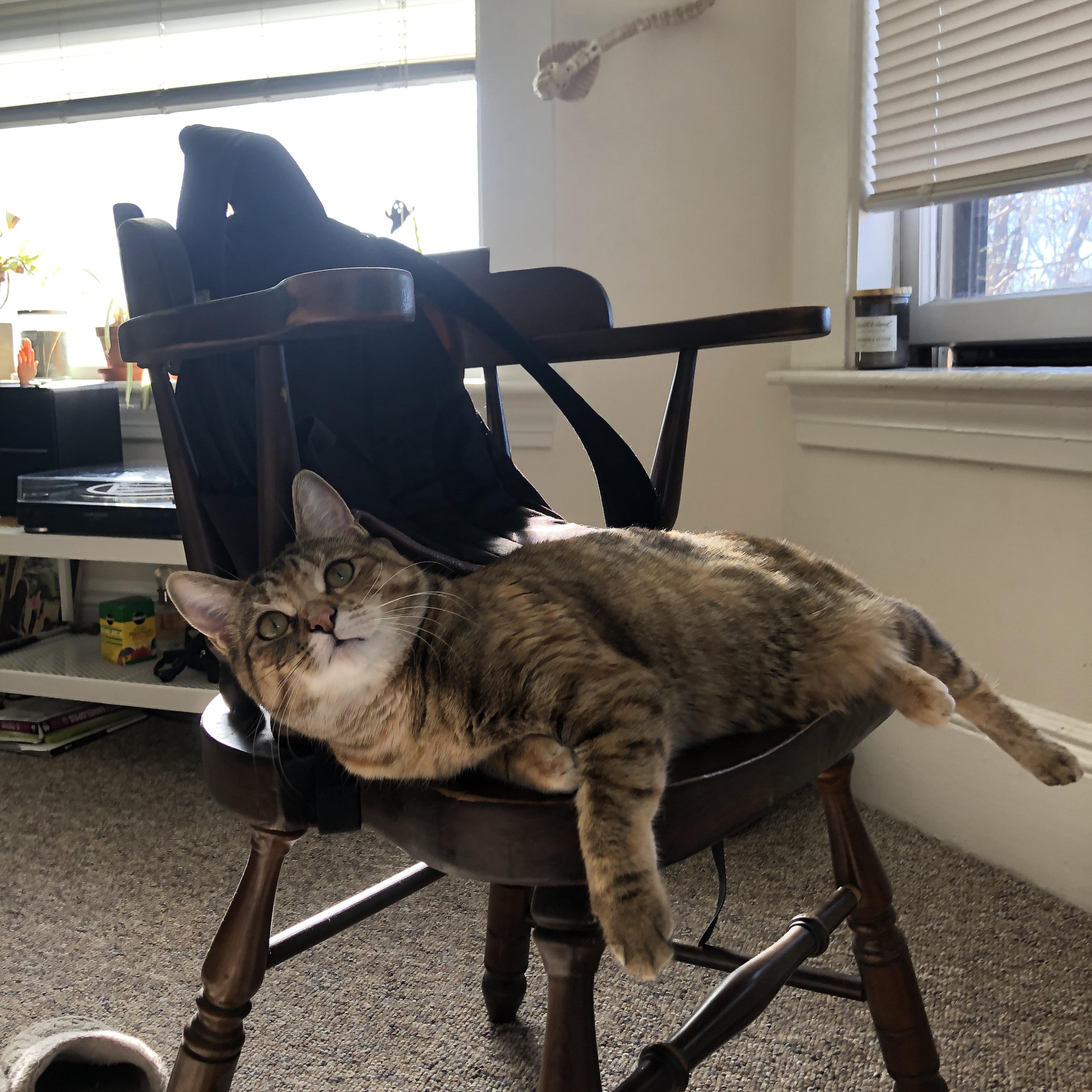 开云体育中国-久保建英的救赎，AC米兰对决英格兰的辉煌之夜